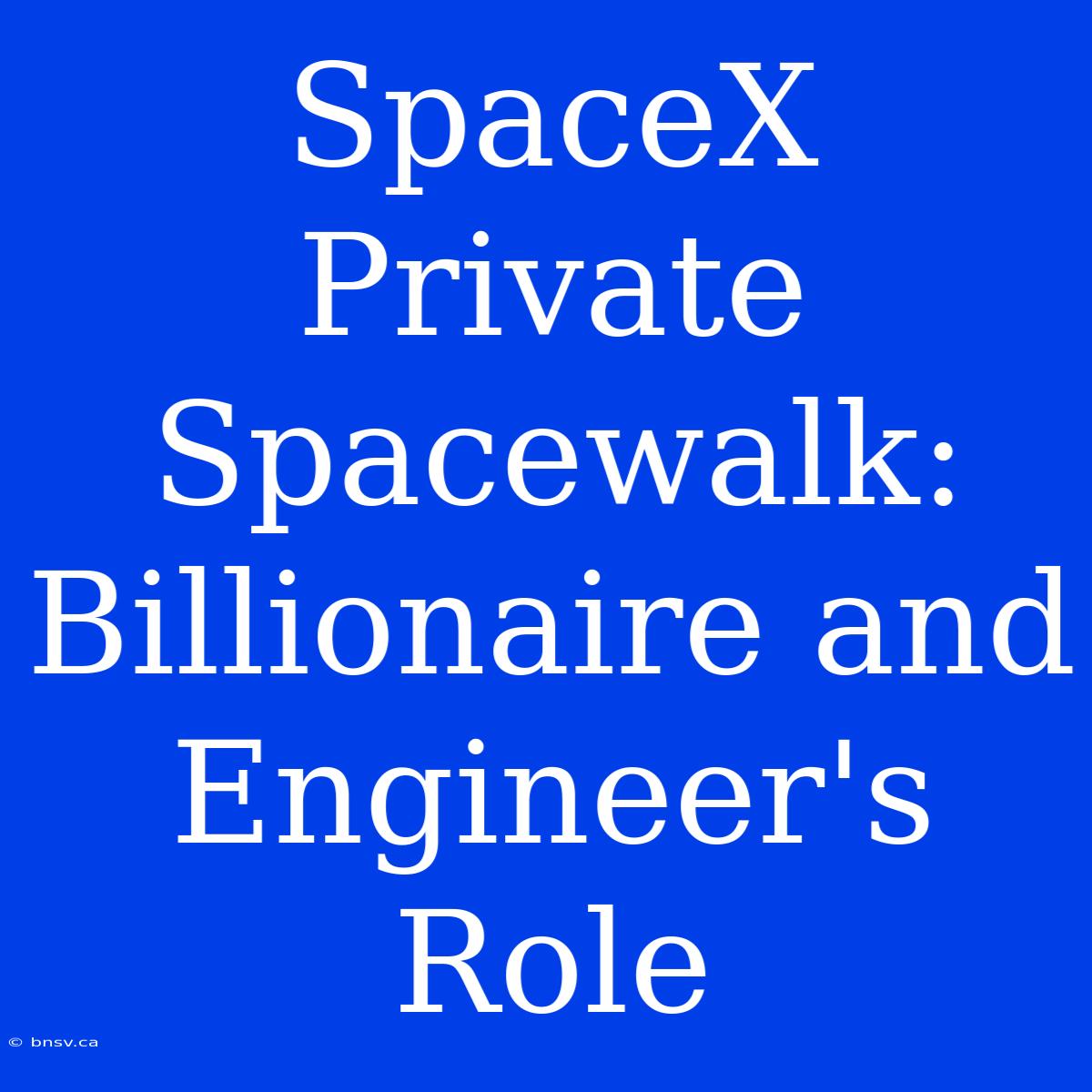 SpaceX Private Spacewalk: Billionaire And Engineer's Role