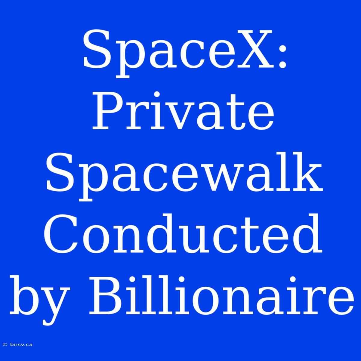 SpaceX: Private Spacewalk Conducted By Billionaire