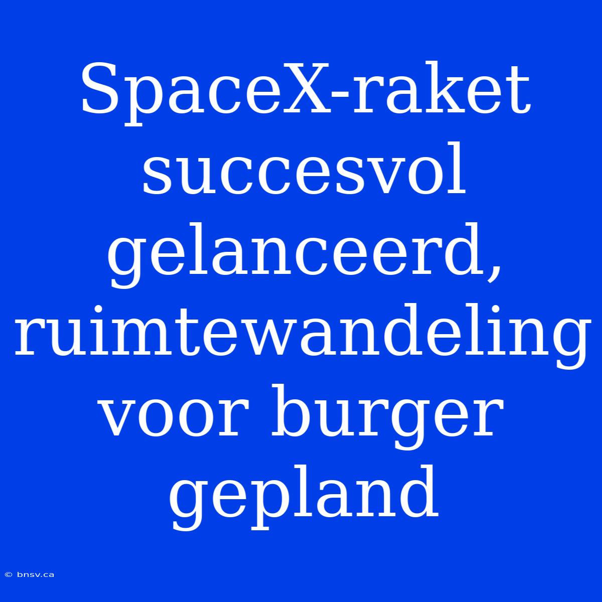 SpaceX-raket Succesvol Gelanceerd, Ruimtewandeling Voor Burger Gepland