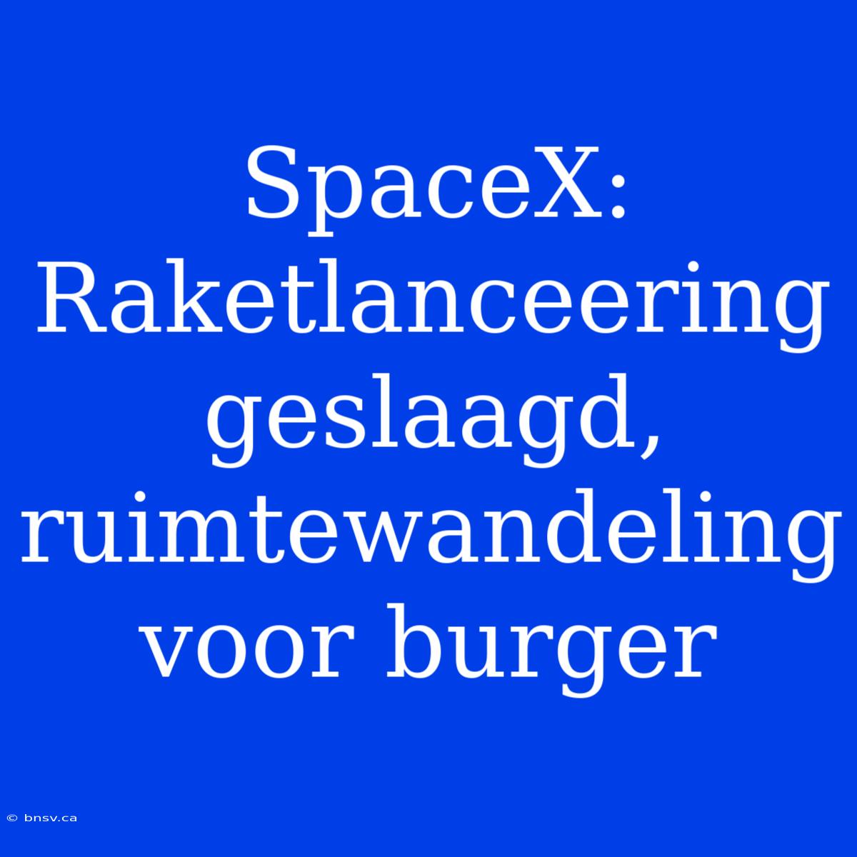 SpaceX: Raketlanceering Geslaagd, Ruimtewandeling Voor Burger