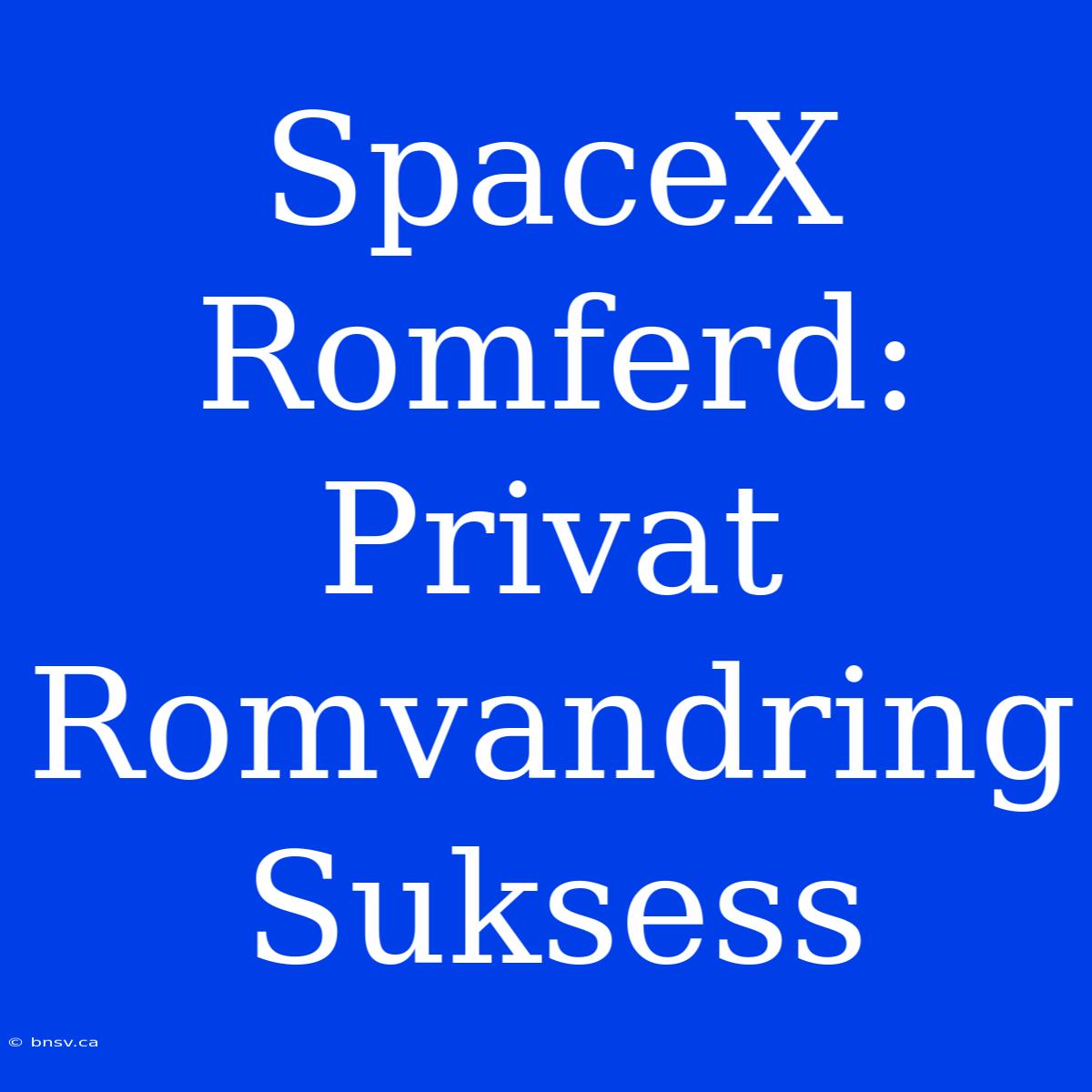 SpaceX Romferd:  Privat Romvandring Suksess