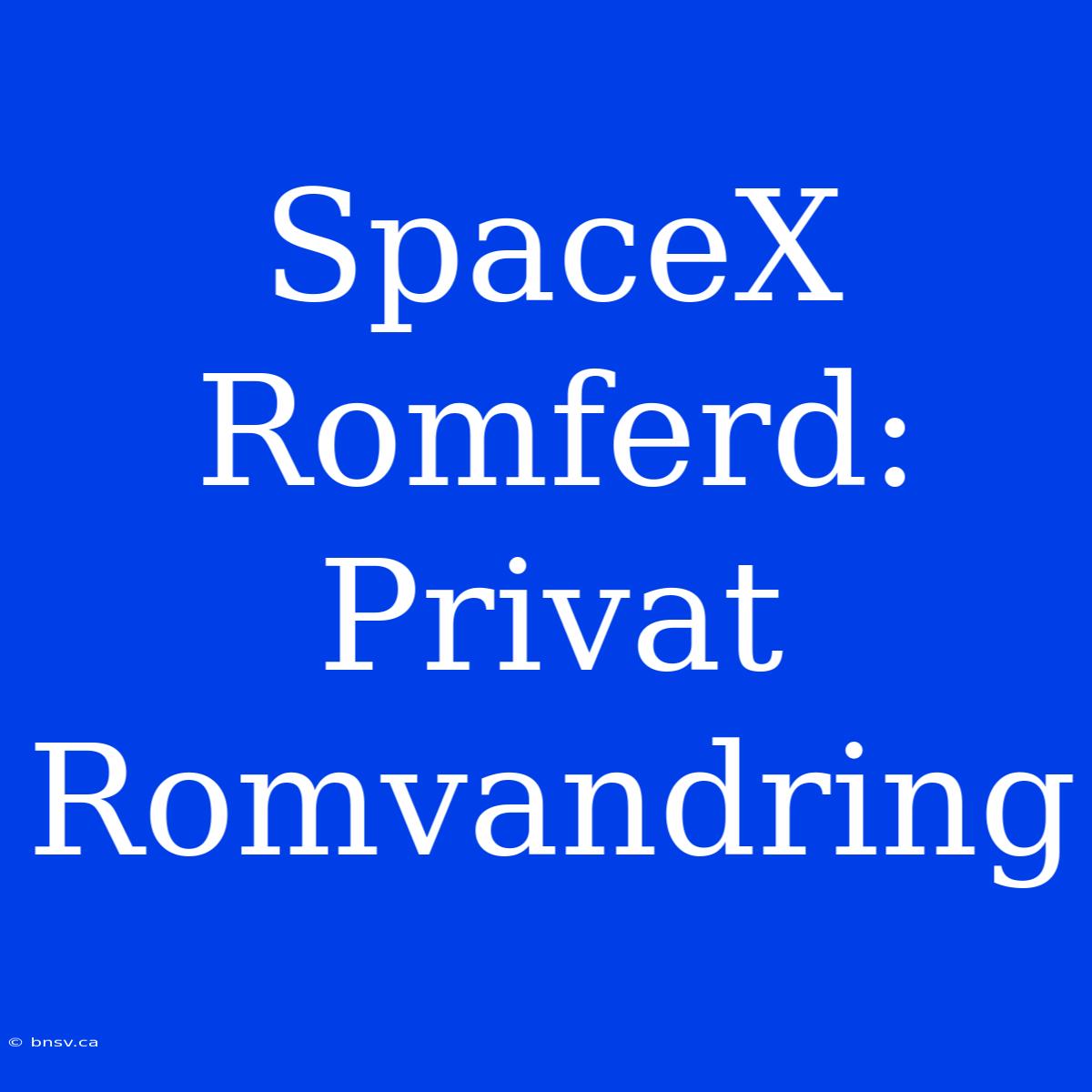 SpaceX Romferd: Privat Romvandring