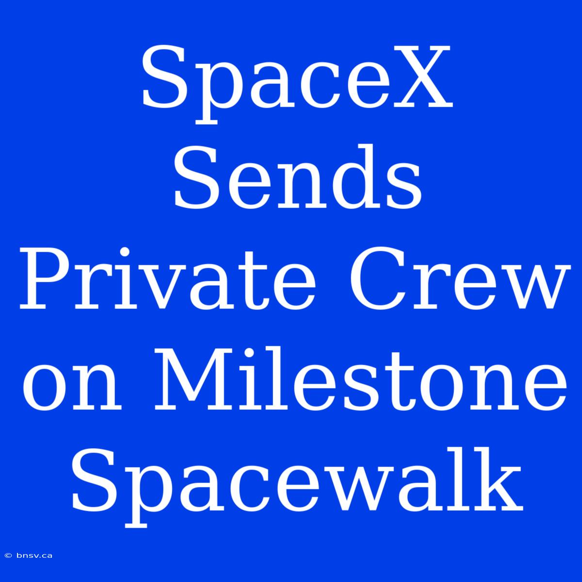 SpaceX Sends Private Crew On Milestone Spacewalk