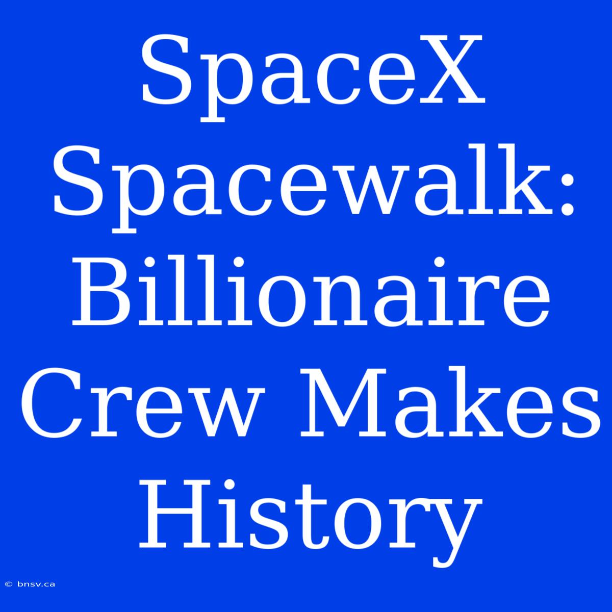 SpaceX Spacewalk: Billionaire Crew Makes History