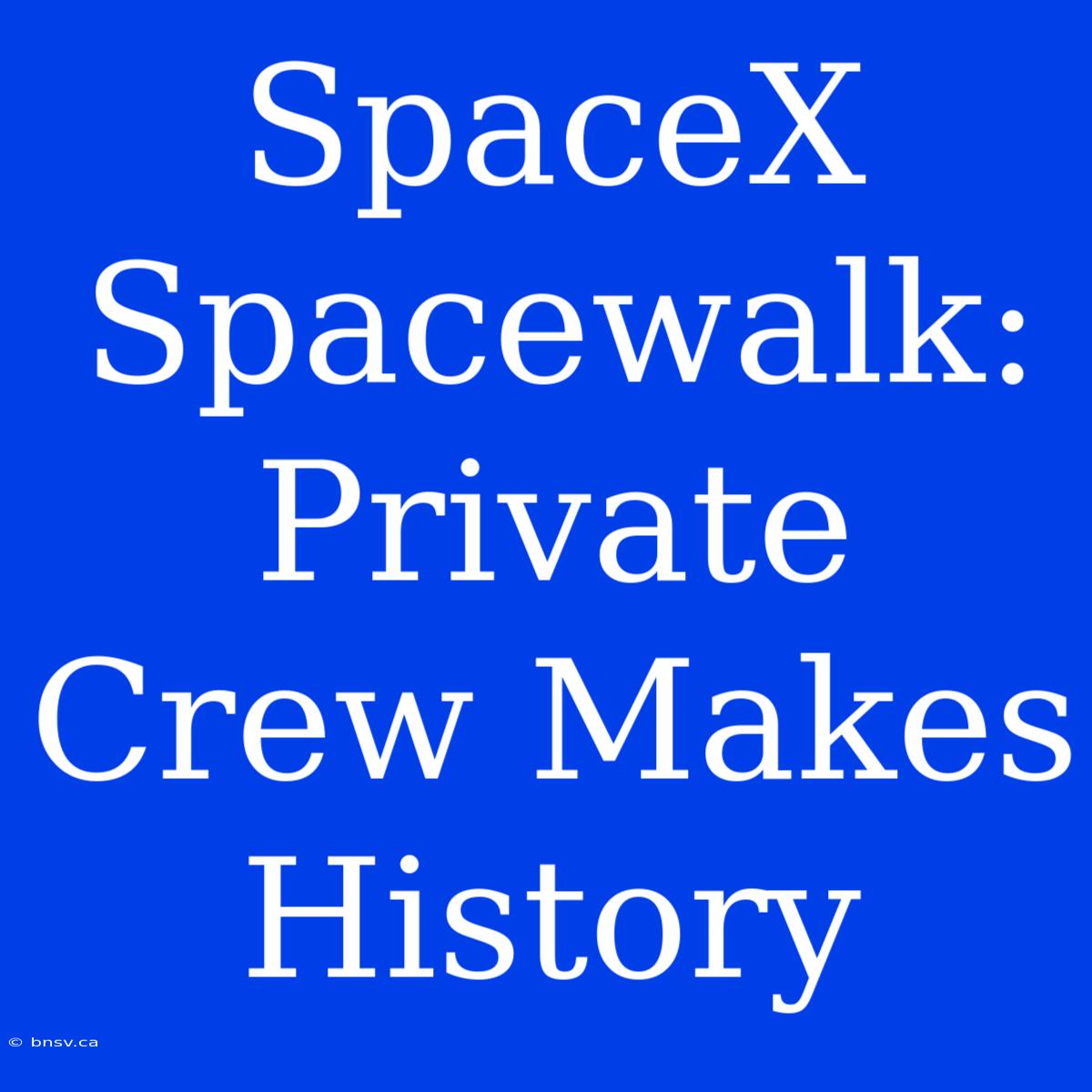 SpaceX Spacewalk: Private Crew Makes History