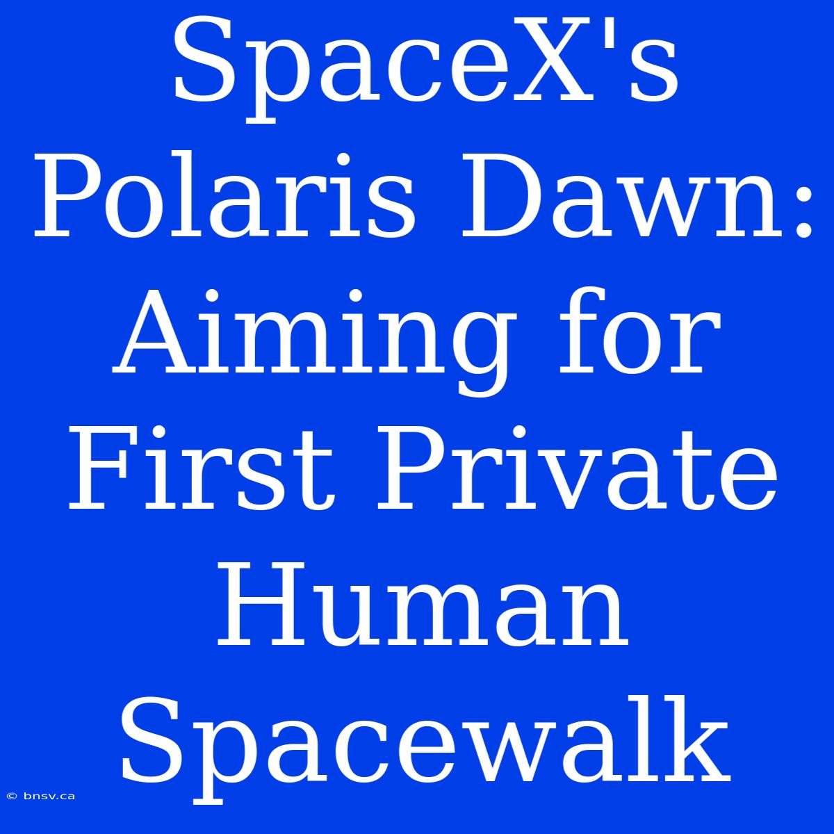 SpaceX's Polaris Dawn: Aiming For First Private Human Spacewalk