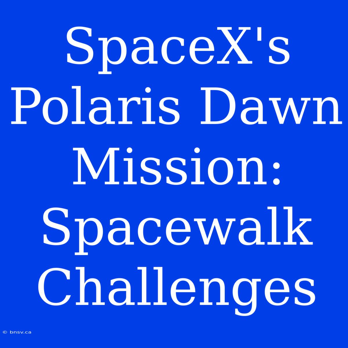 SpaceX's Polaris Dawn Mission: Spacewalk Challenges