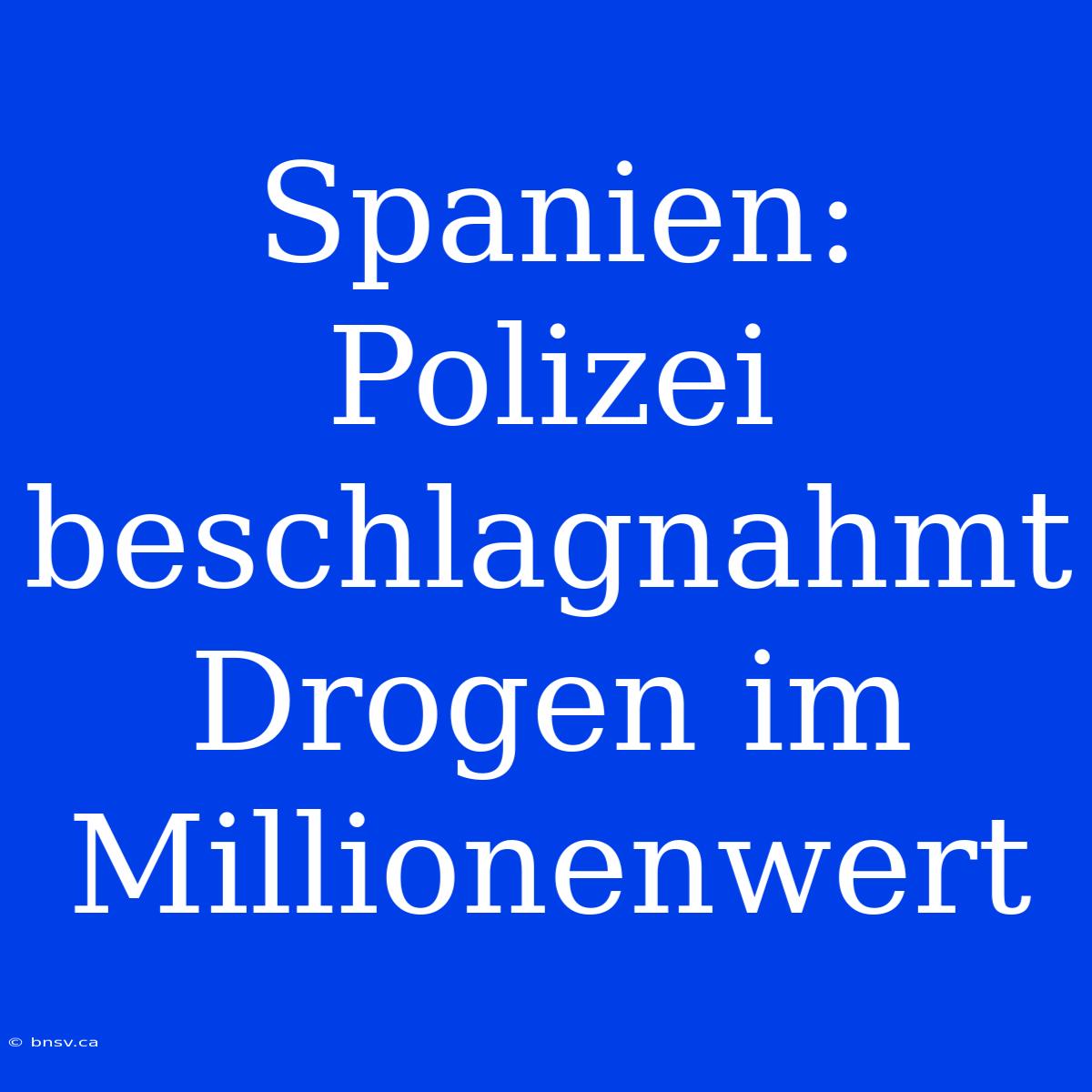 Spanien: Polizei Beschlagnahmt Drogen Im Millionenwert