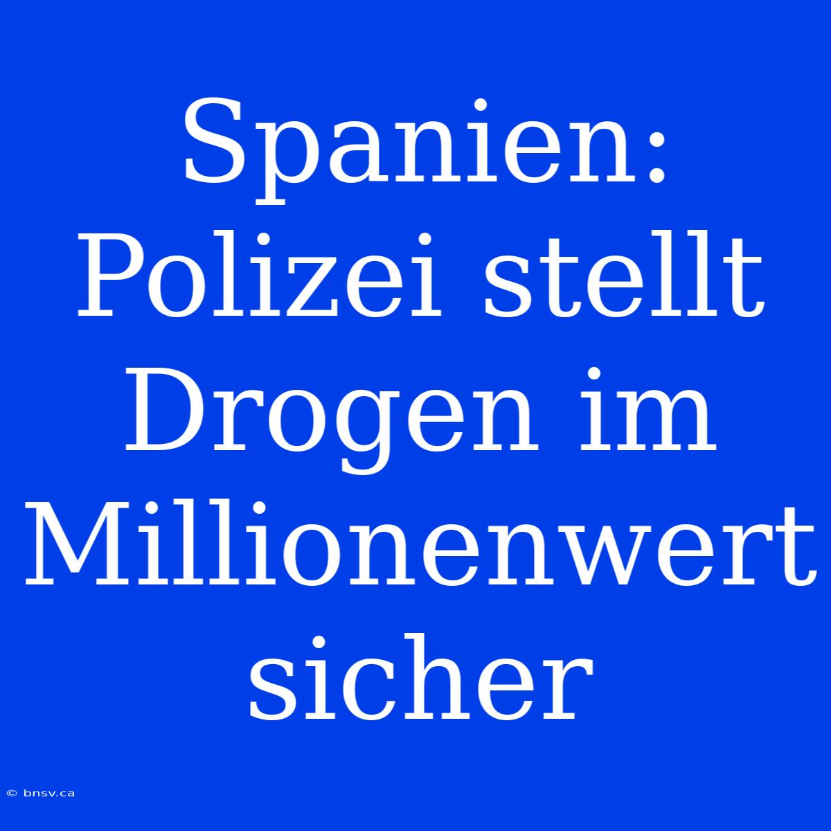 Spanien: Polizei Stellt Drogen Im Millionenwert Sicher