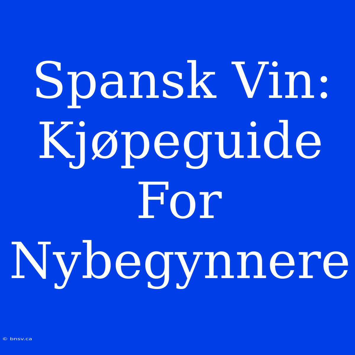 Spansk Vin: Kjøpeguide For Nybegynnere