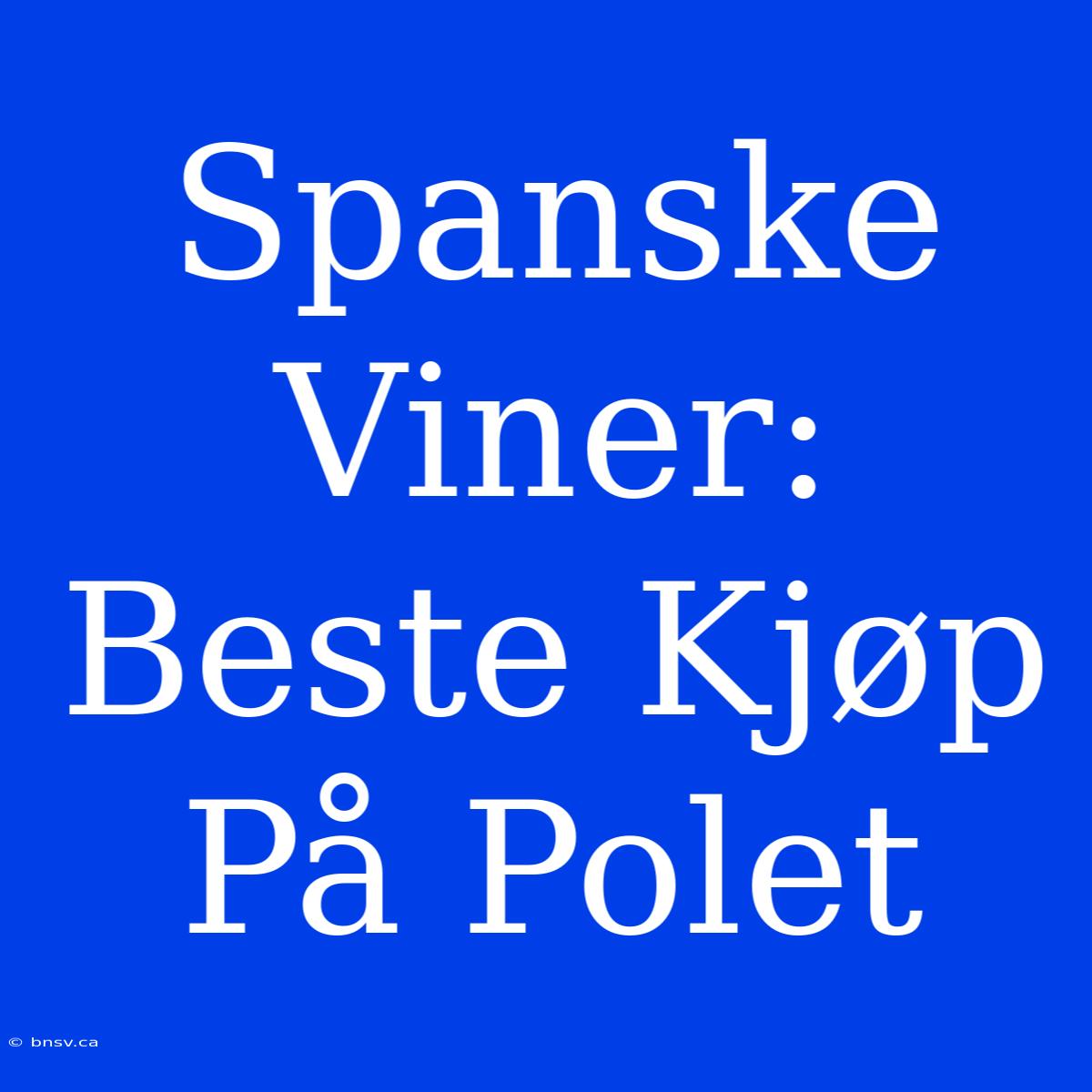 Spanske Viner: Beste Kjøp På Polet