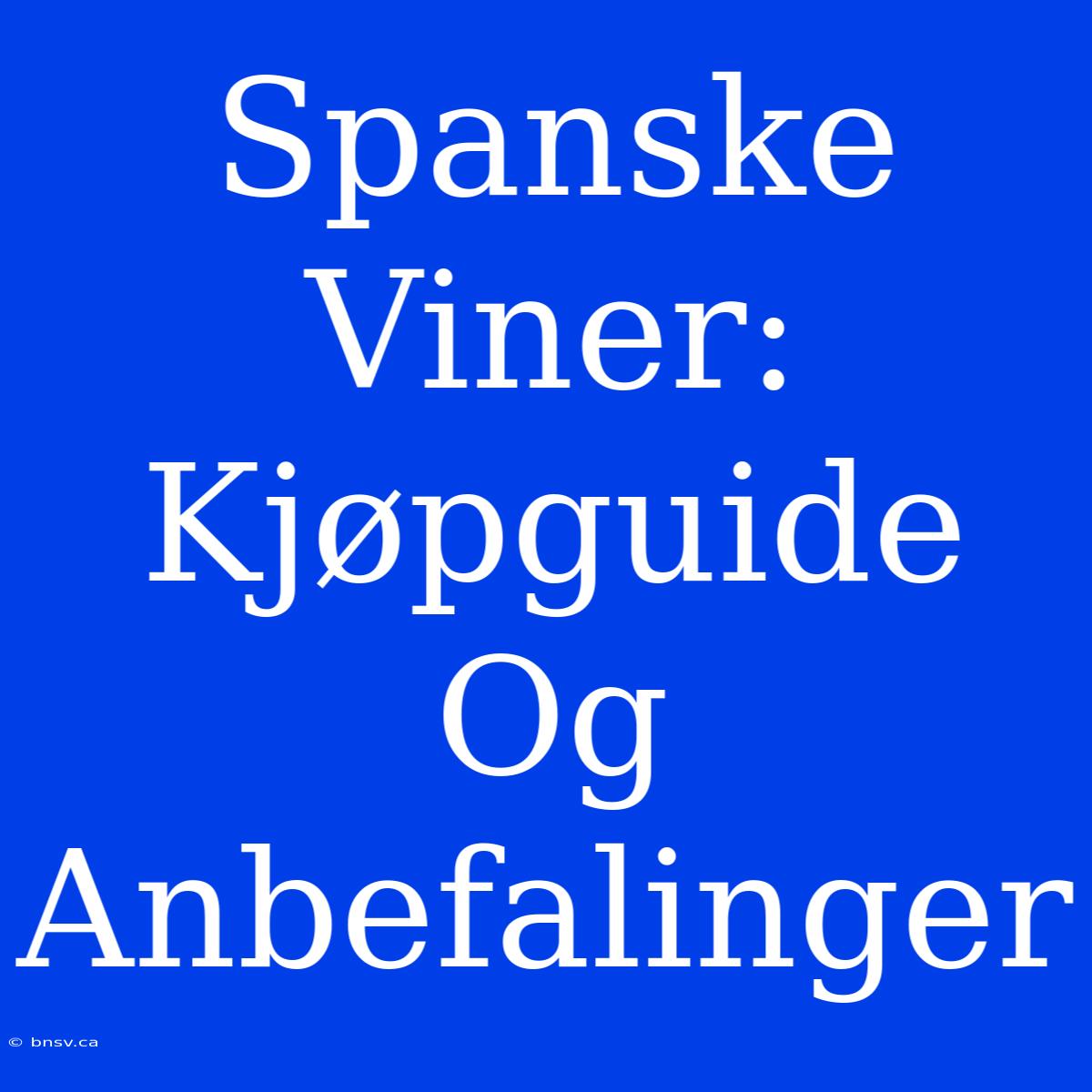 Spanske Viner: Kjøpguide Og Anbefalinger