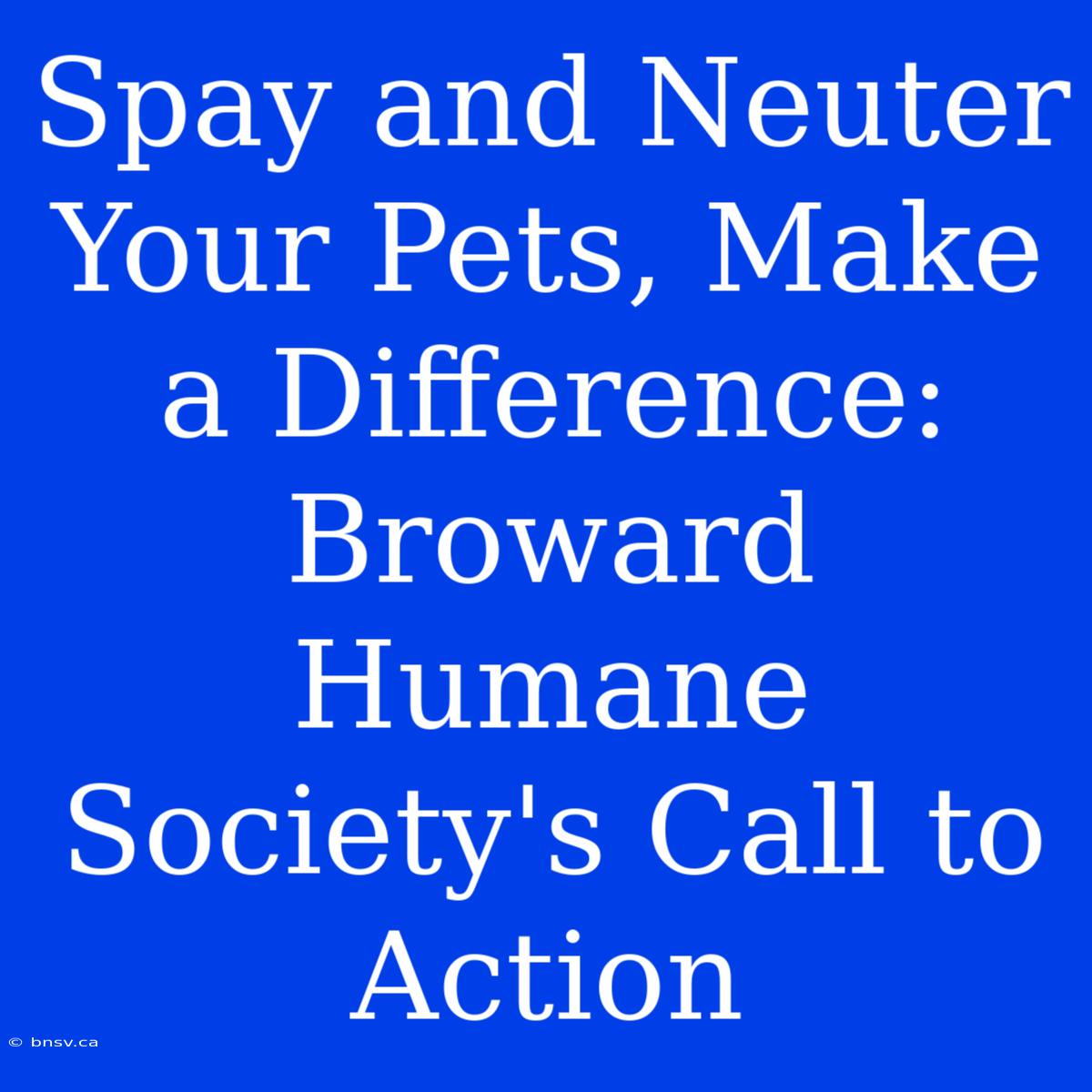 Spay And Neuter Your Pets, Make A Difference: Broward Humane Society's Call To Action