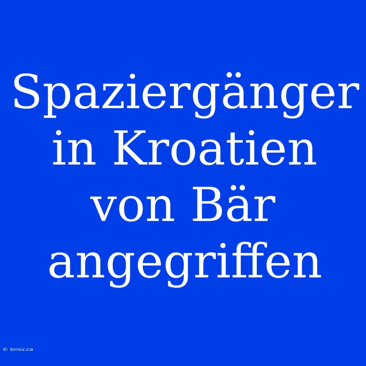 Spaziergänger In Kroatien Von Bär Angegriffen