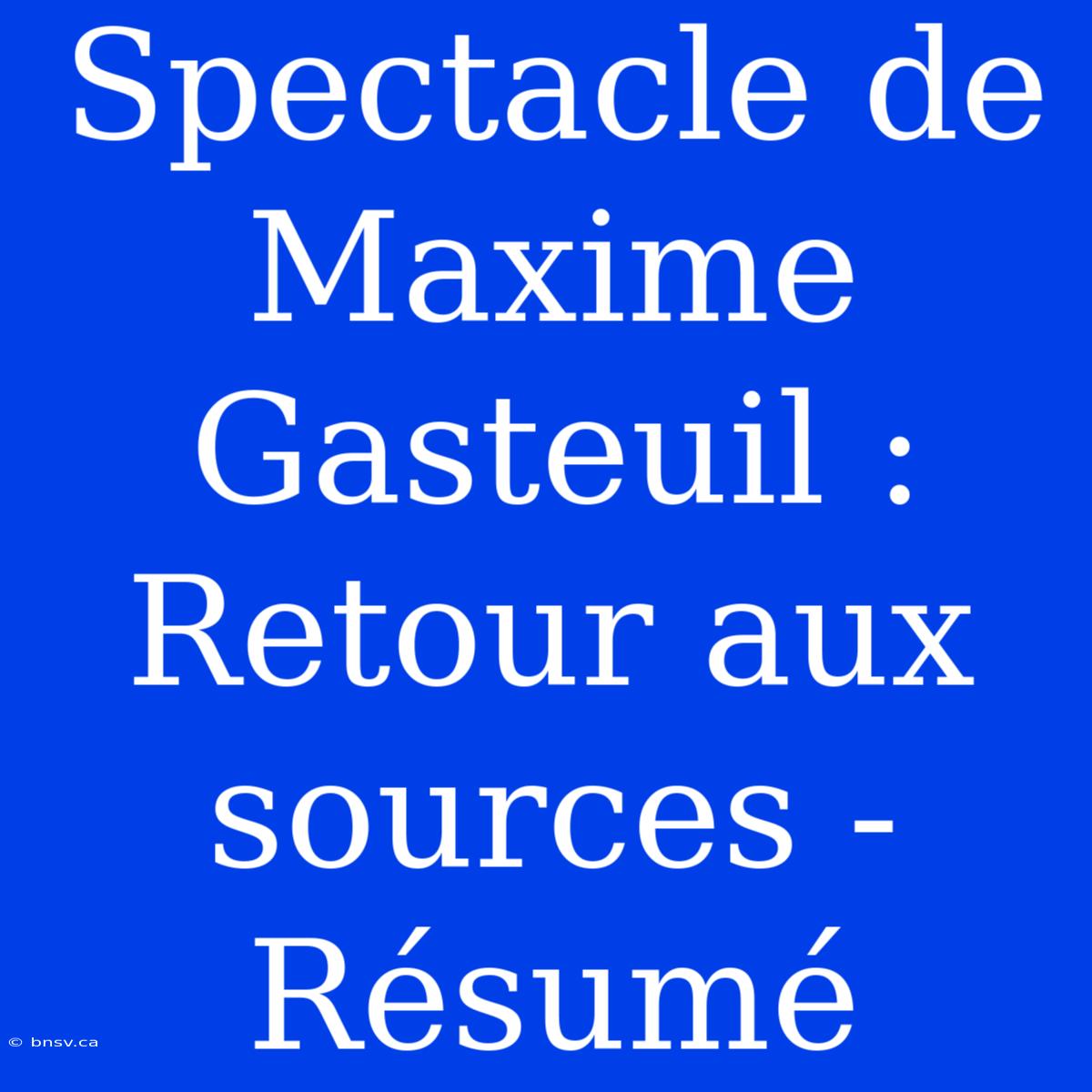 Spectacle De Maxime Gasteuil : Retour Aux Sources - Résumé