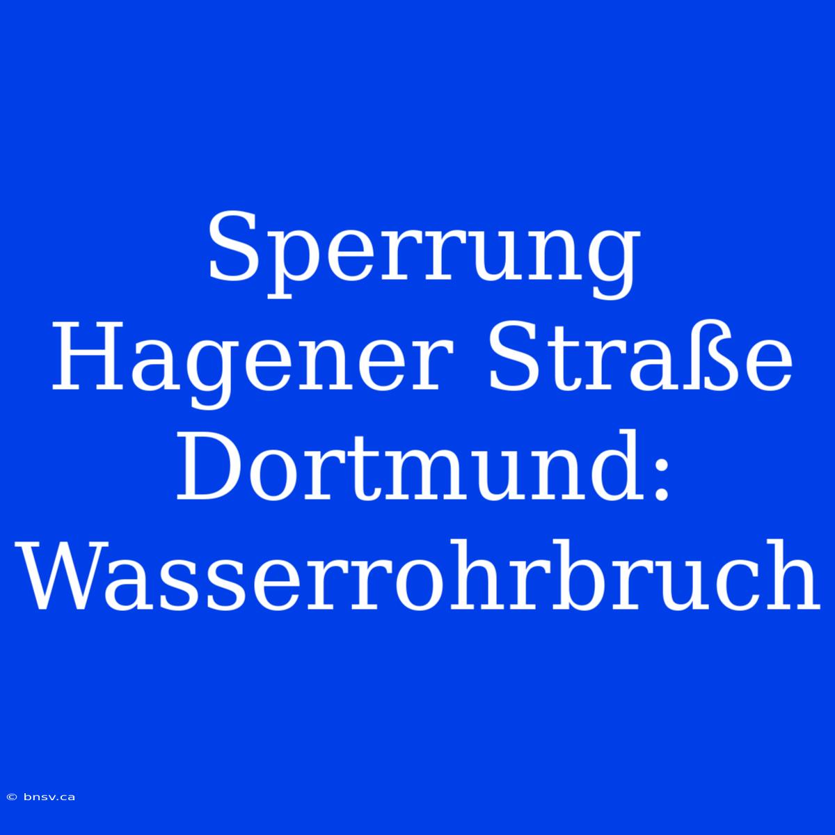 Sperrung Hagener Straße Dortmund: Wasserrohrbruch