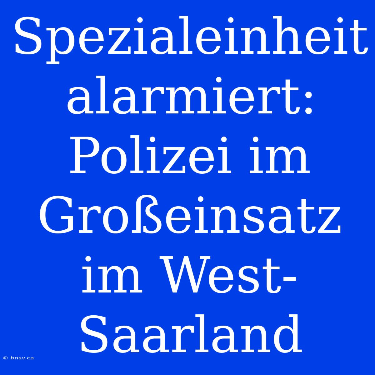 Spezialeinheit Alarmiert: Polizei Im Großeinsatz Im West-Saarland