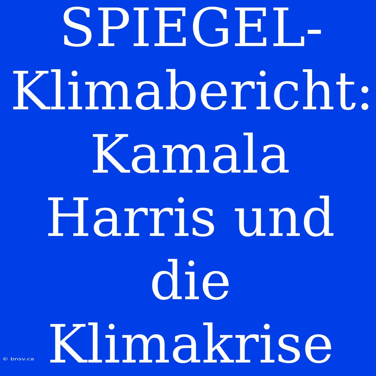 SPIEGEL-Klimabericht: Kamala Harris Und Die Klimakrise