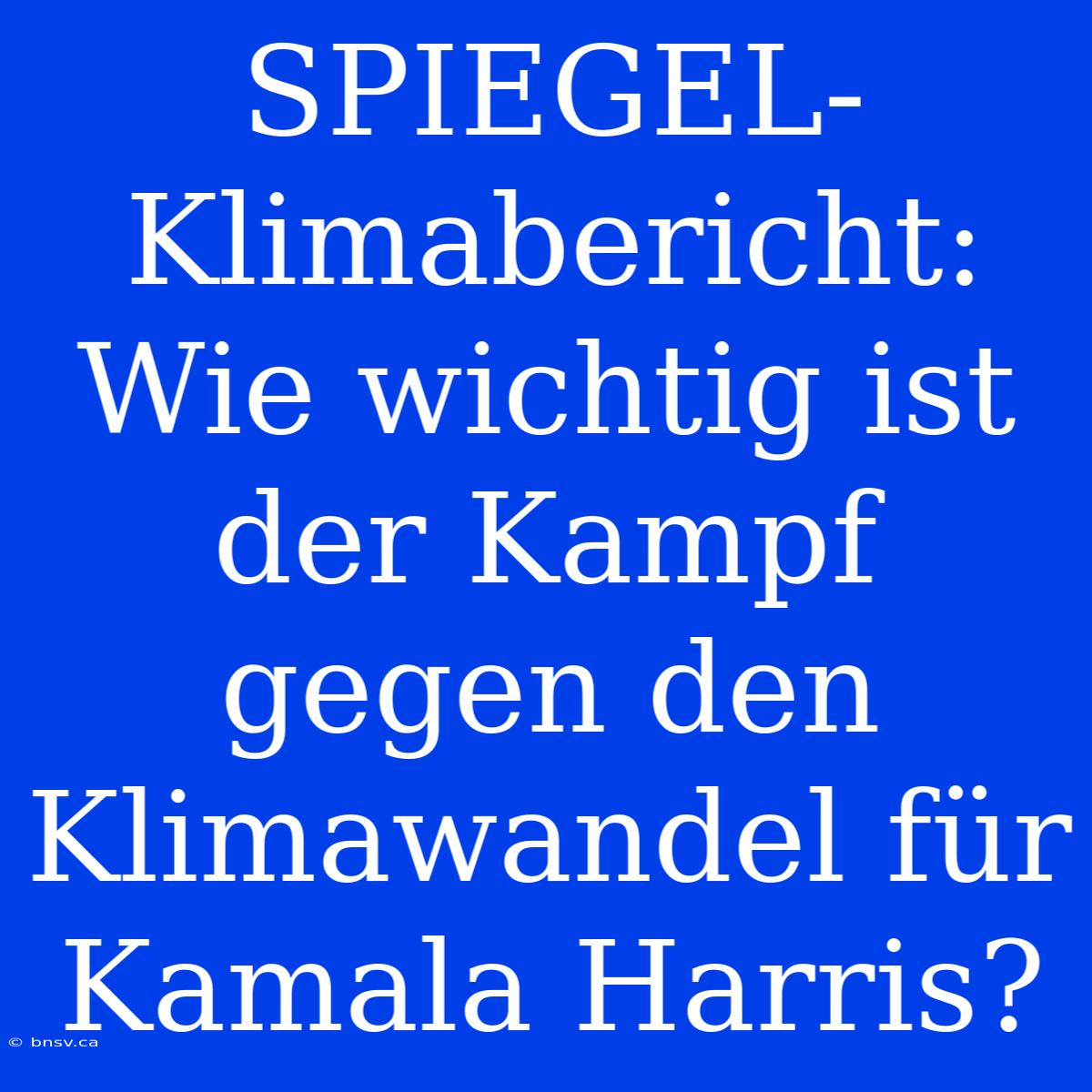 SPIEGEL-Klimabericht: Wie Wichtig Ist Der Kampf Gegen Den Klimawandel Für Kamala Harris?