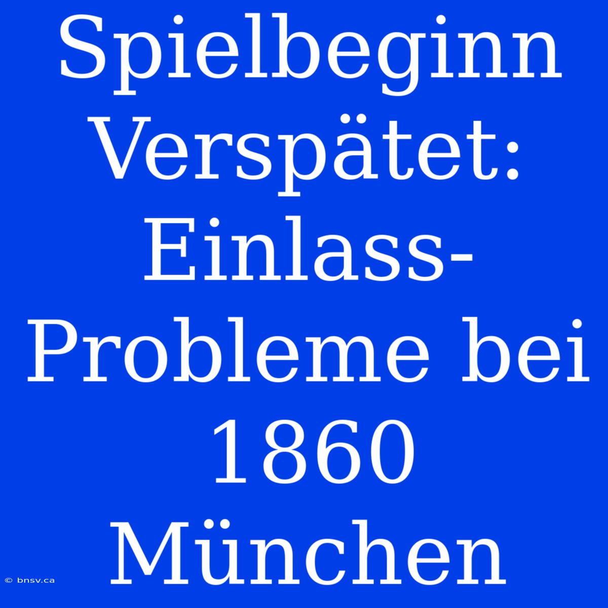 Spielbeginn Verspätet: Einlass-Probleme Bei 1860 München