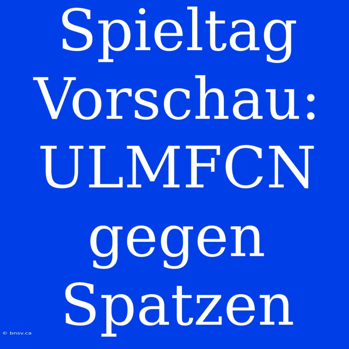 Spieltag Vorschau: ULMFCN Gegen Spatzen