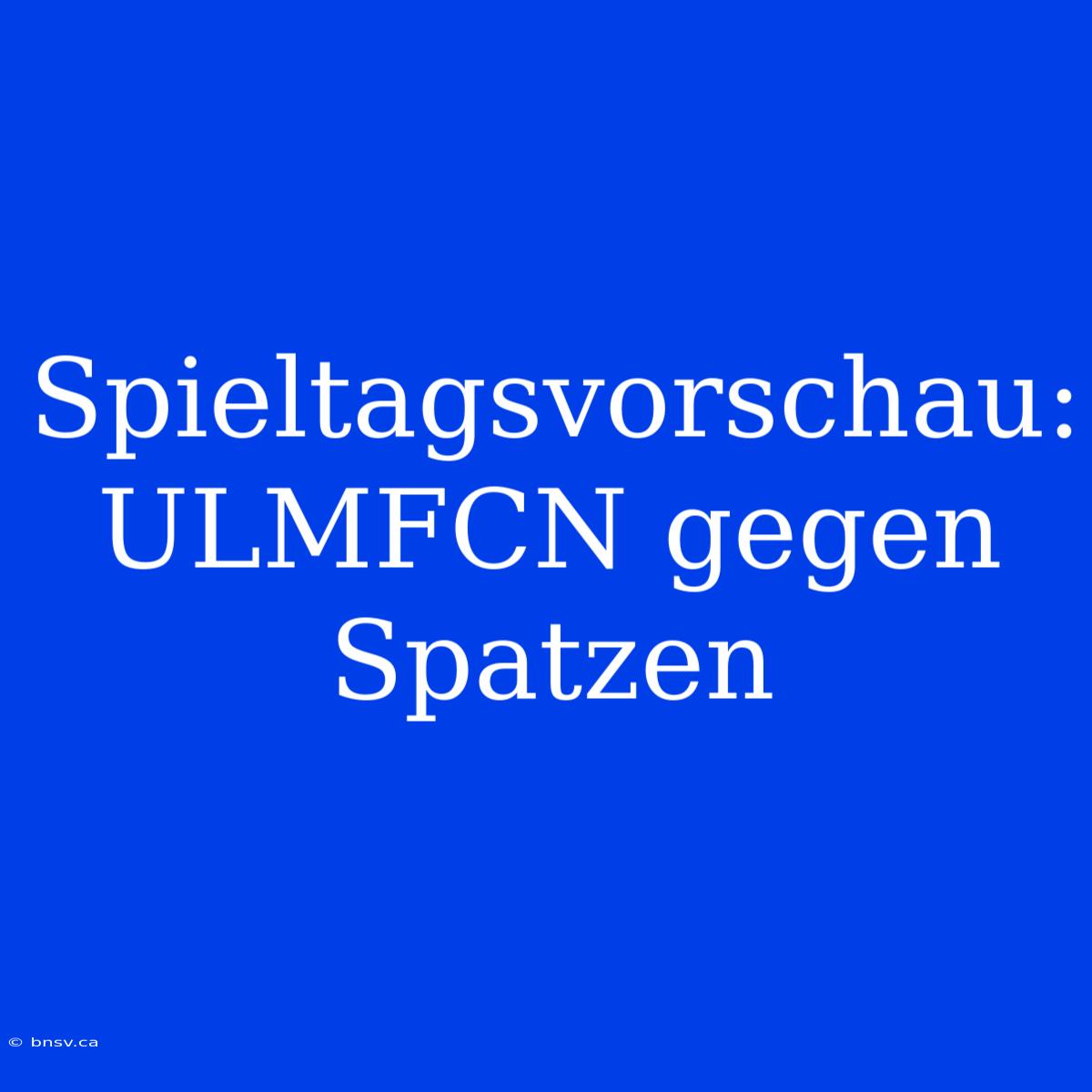 Spieltagsvorschau: ULMFCN Gegen Spatzen