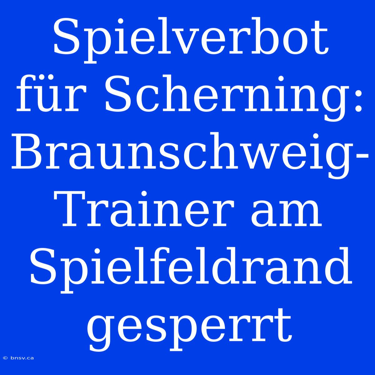 Spielverbot Für Scherning: Braunschweig-Trainer Am Spielfeldrand Gesperrt