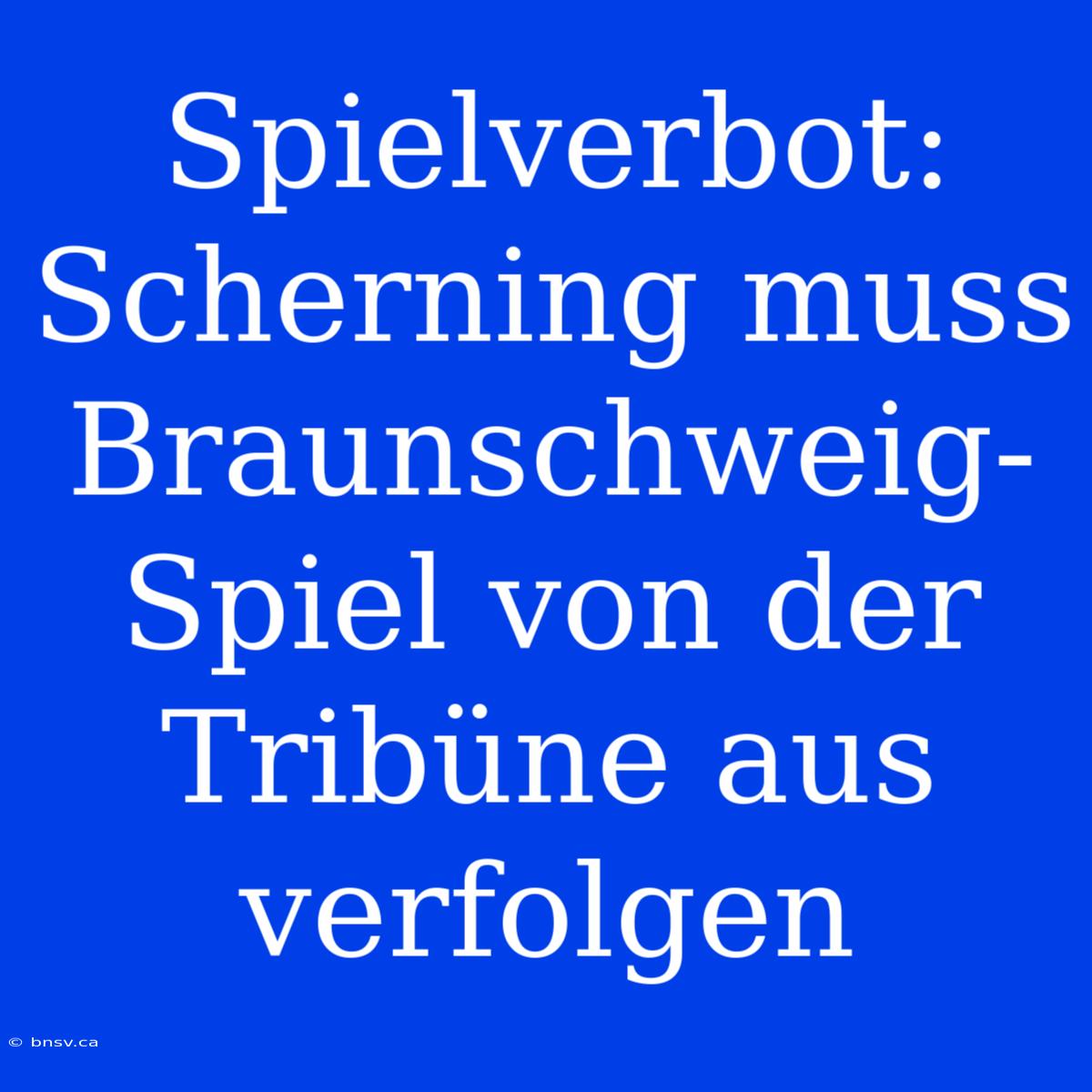 Spielverbot: Scherning Muss Braunschweig-Spiel Von Der Tribüne Aus Verfolgen