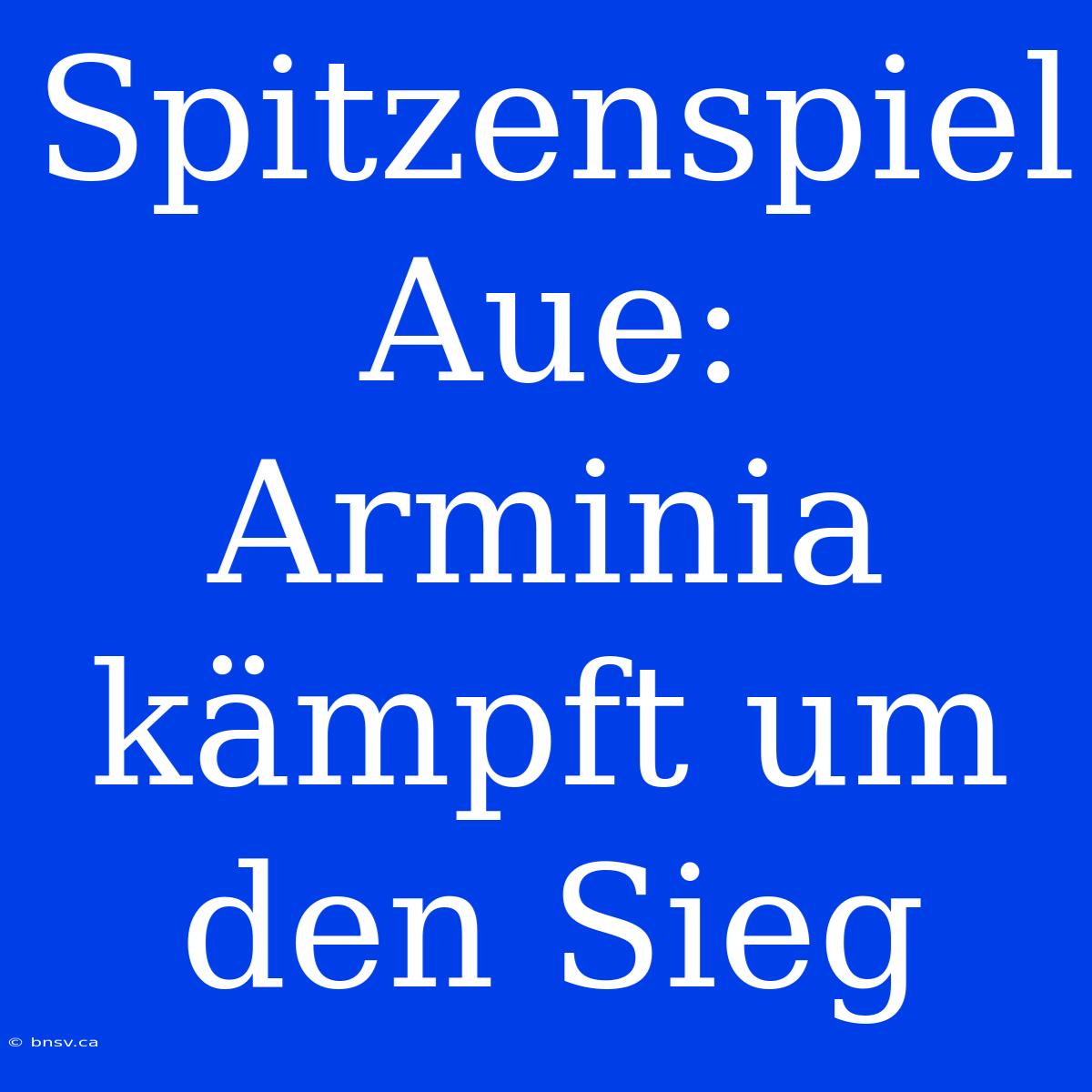 Spitzenspiel Aue: Arminia Kämpft Um Den Sieg