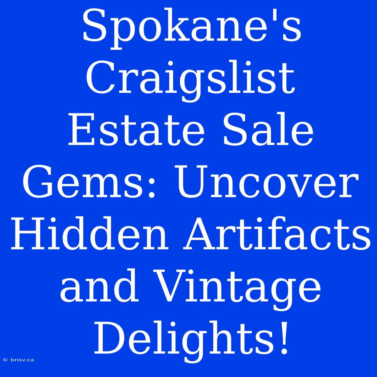 Spokane's Craigslist Estate Sale Gems: Uncover Hidden Artifacts And Vintage Delights!