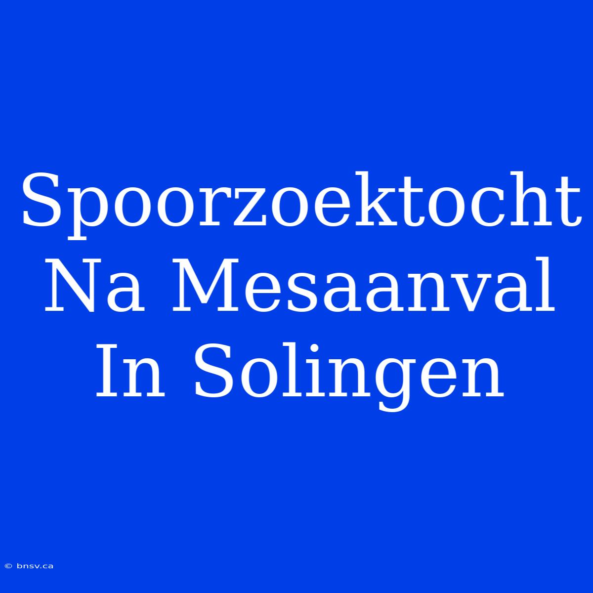 Spoorzoektocht Na Mesaanval In Solingen