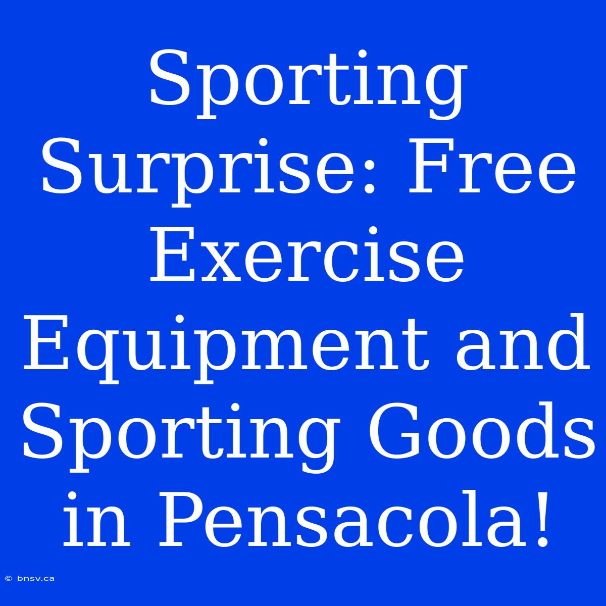 Sporting Surprise: Free Exercise Equipment And Sporting Goods In Pensacola!