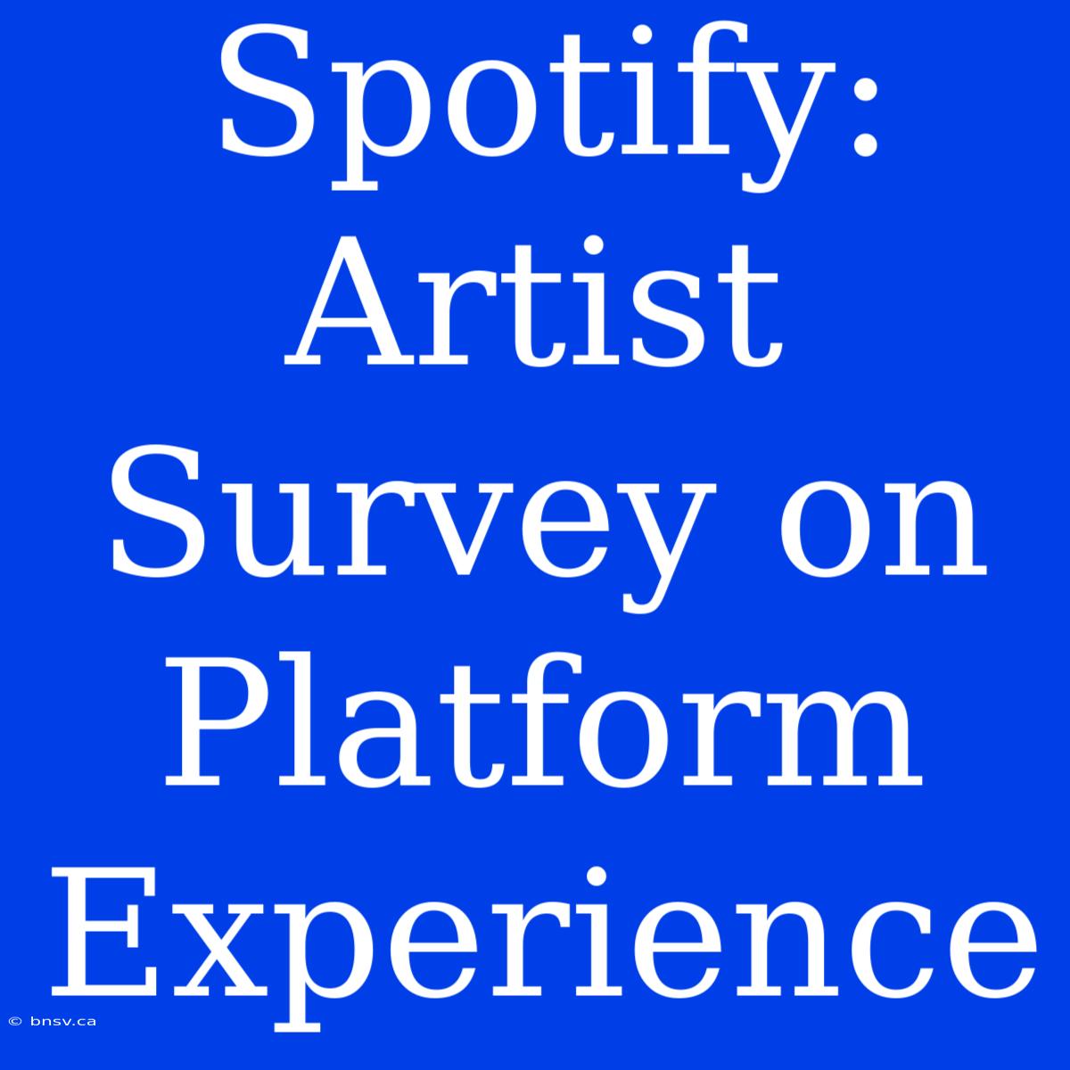 Spotify: Artist Survey On Platform Experience