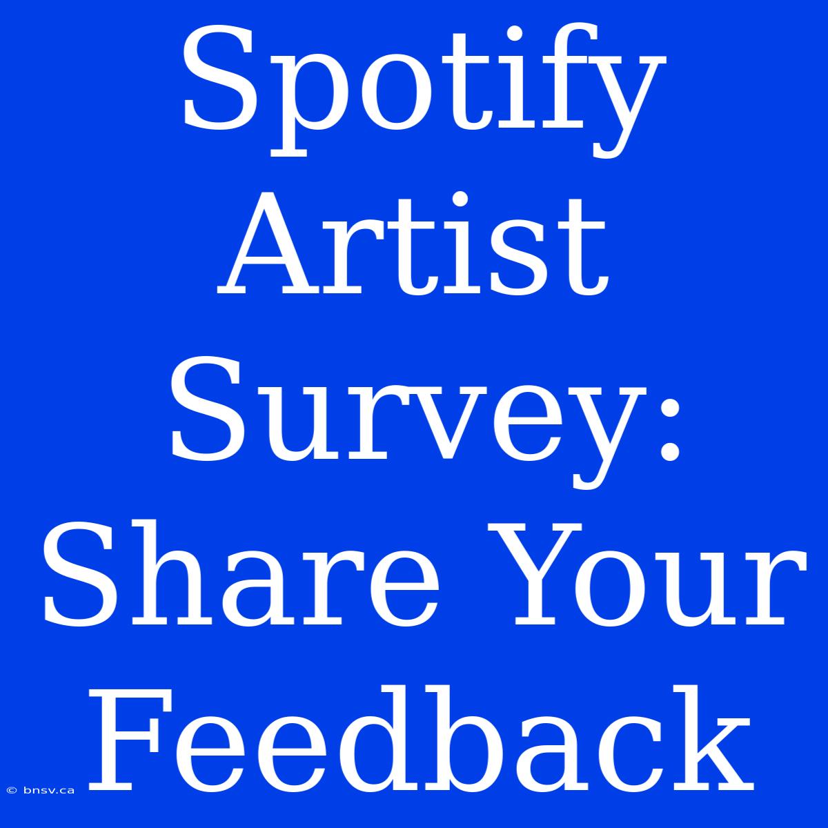 Spotify Artist Survey: Share Your Feedback