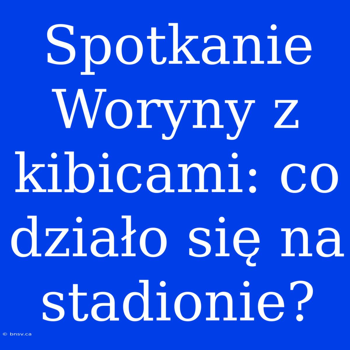 Spotkanie Woryny Z Kibicami: Co Działo Się Na Stadionie?