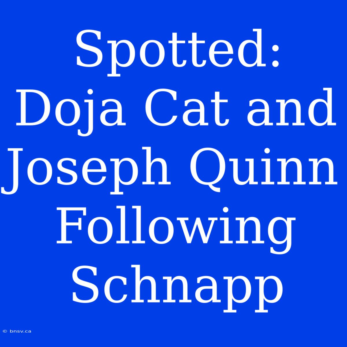 Spotted: Doja Cat And Joseph Quinn Following Schnapp