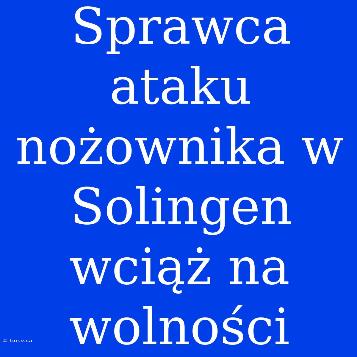 Sprawca Ataku Nożownika W Solingen Wciąż Na Wolności