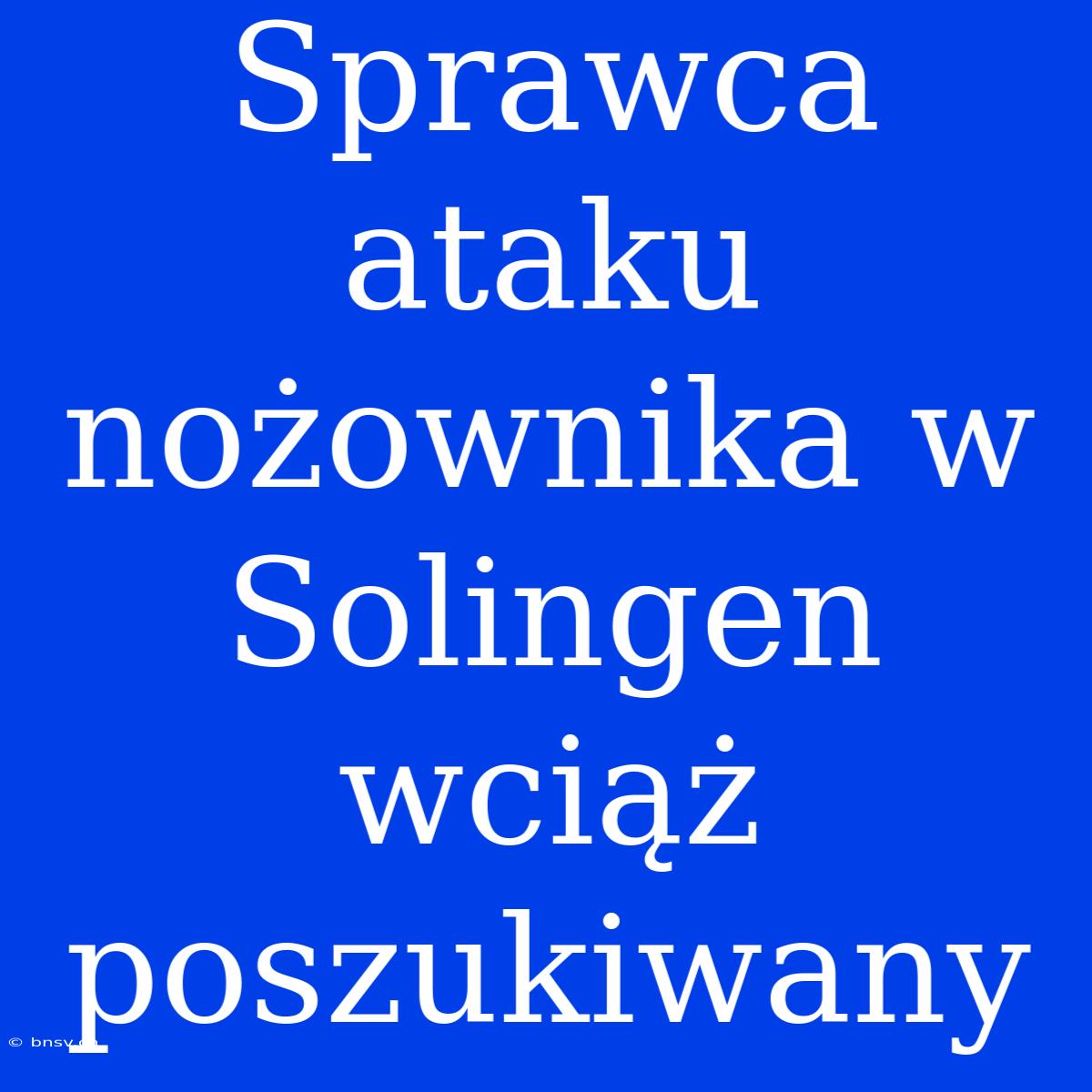 Sprawca Ataku Nożownika W Solingen Wciąż Poszukiwany