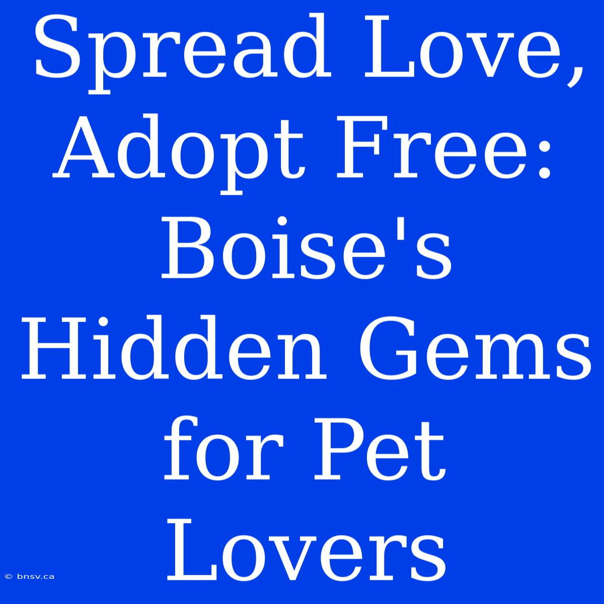 Spread Love, Adopt Free: Boise's Hidden Gems For Pet Lovers