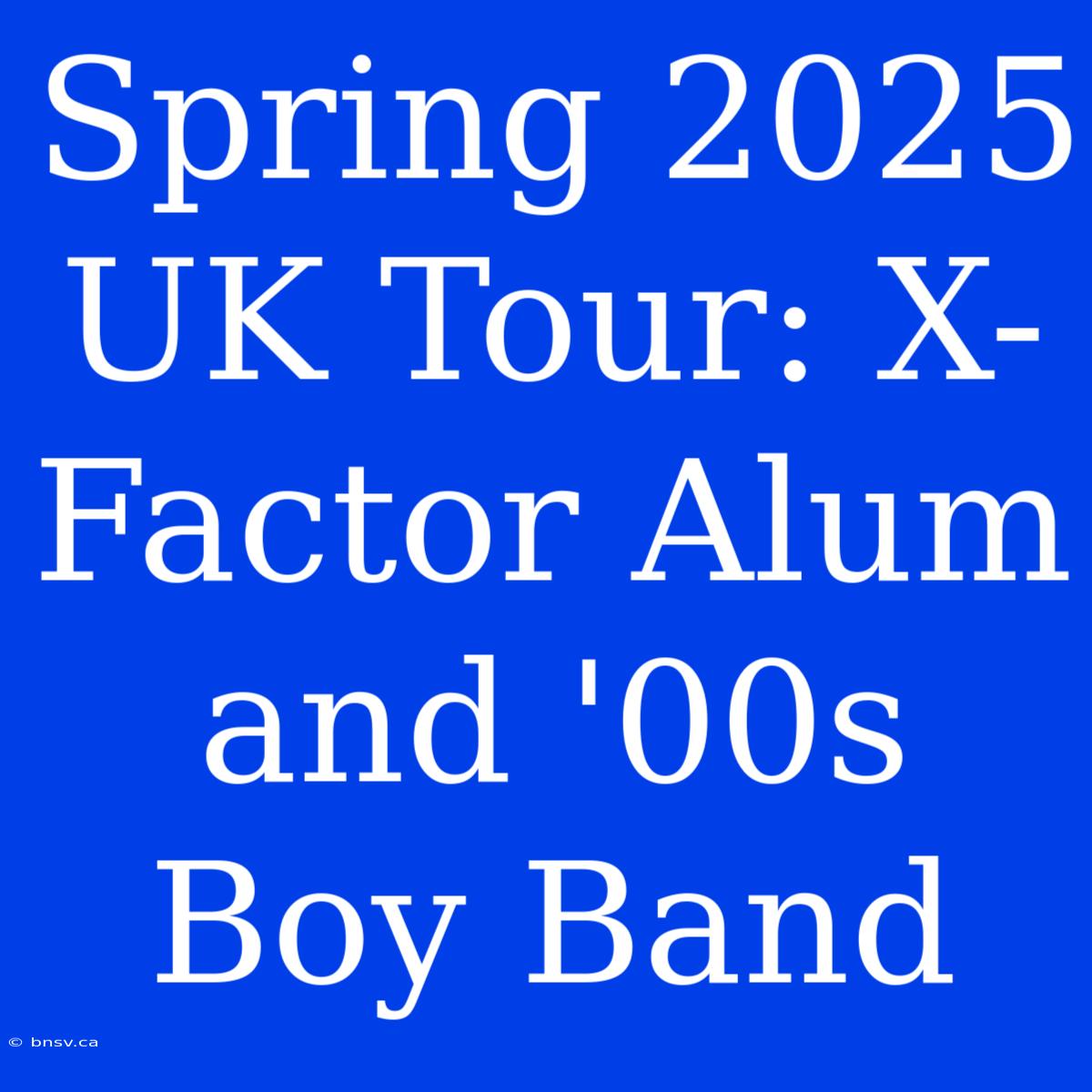 Spring 2025 UK Tour: X-Factor Alum And '00s Boy Band