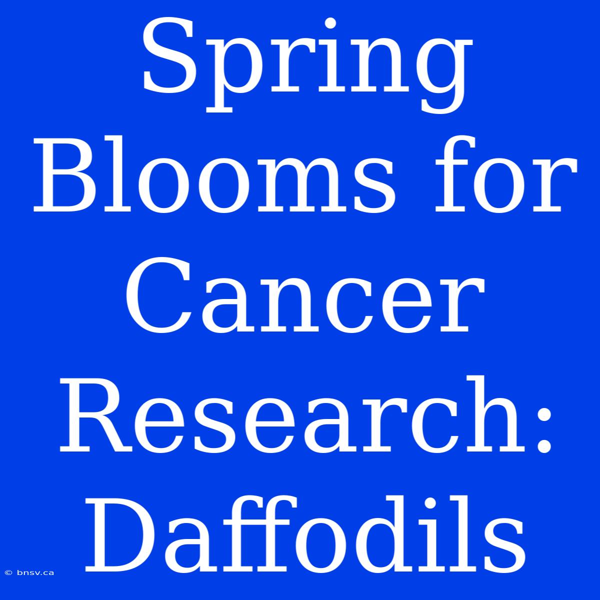 Spring Blooms For Cancer Research: Daffodils