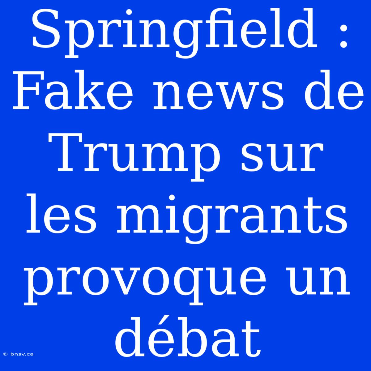 Springfield : Fake News De Trump Sur Les Migrants Provoque Un Débat