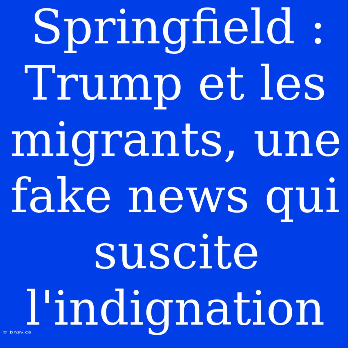 Springfield : Trump Et Les Migrants, Une Fake News Qui Suscite L'indignation