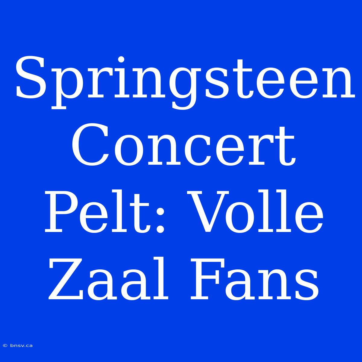 Springsteen Concert Pelt: Volle Zaal Fans