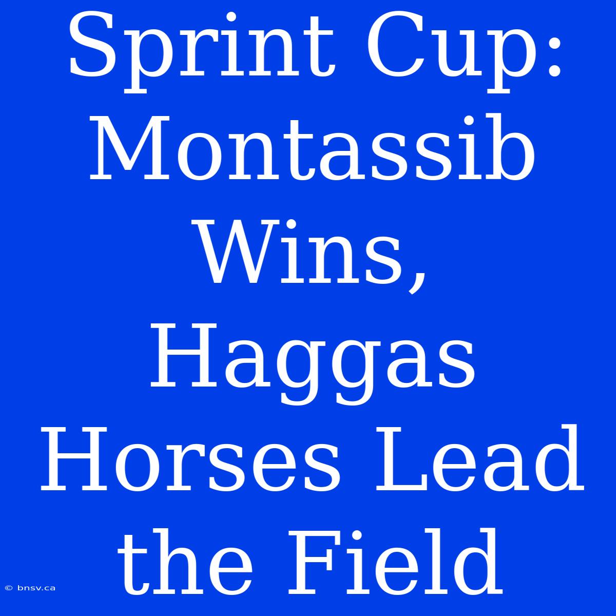 Sprint Cup: Montassib Wins, Haggas Horses Lead The Field