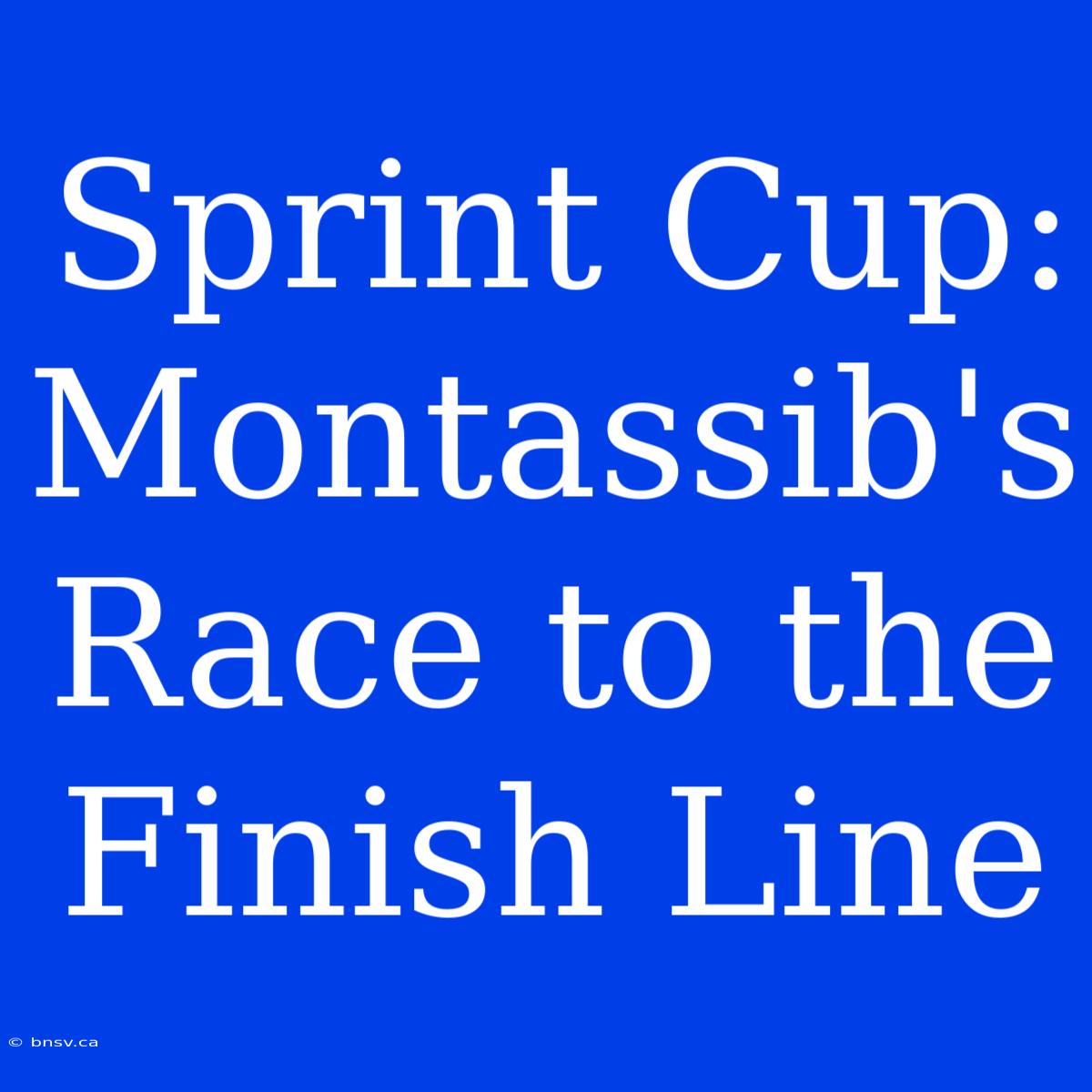 Sprint Cup: Montassib's Race To The Finish Line