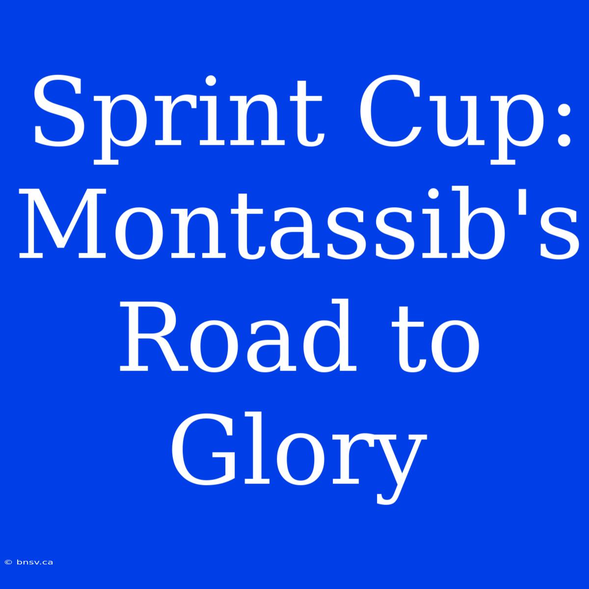 Sprint Cup: Montassib's Road To Glory