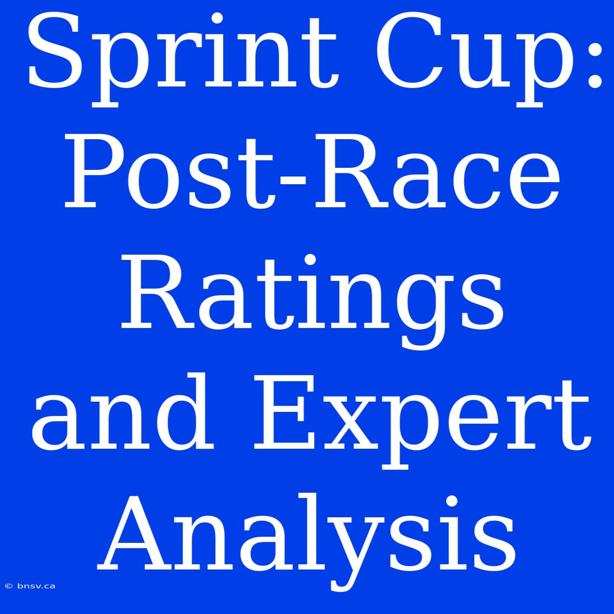 Sprint Cup: Post-Race Ratings And Expert Analysis