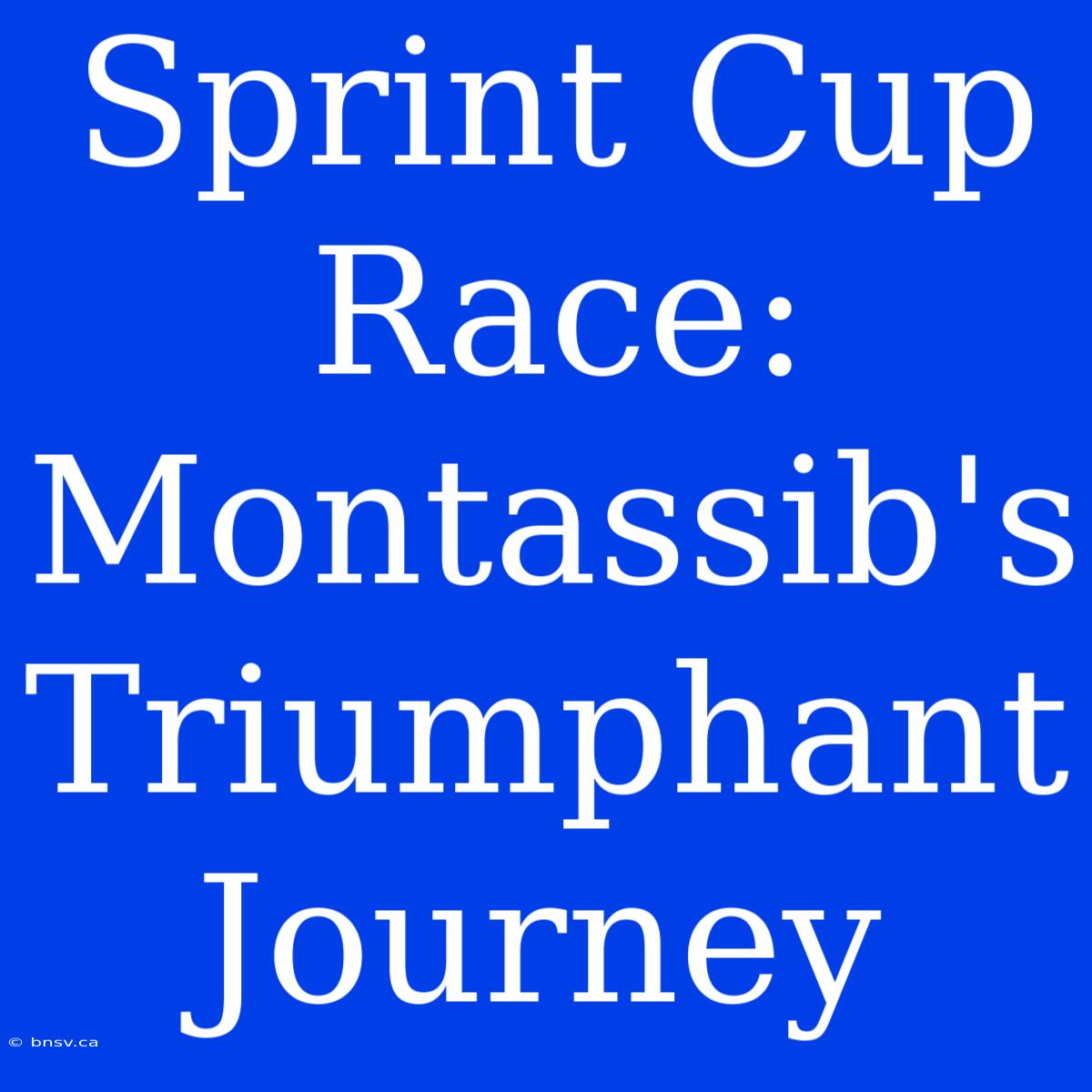 Sprint Cup Race: Montassib's Triumphant Journey