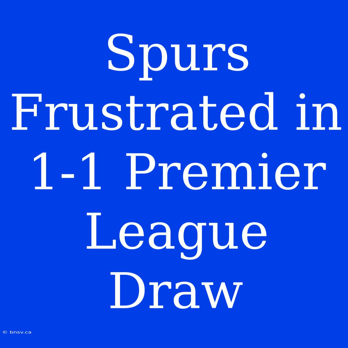 Spurs Frustrated In 1-1 Premier League Draw